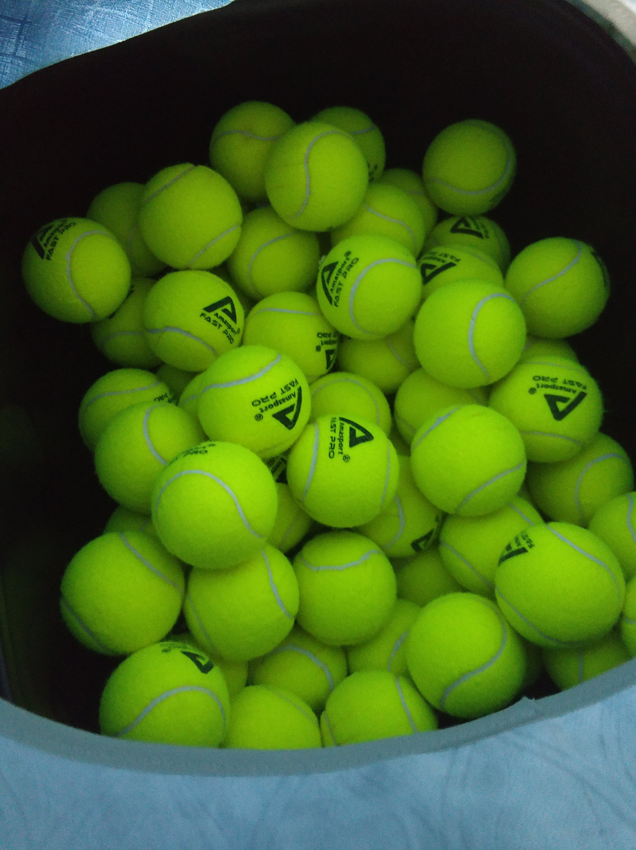 球星阿尔瓦 球星阿尔瓦