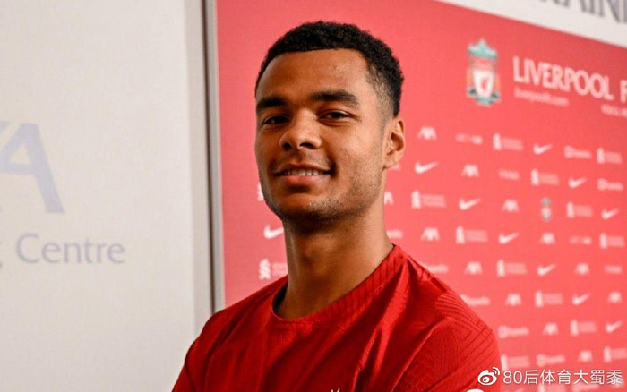 遲遲未能落 遲遲未能落